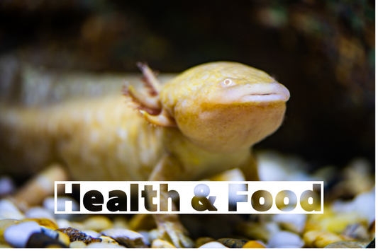Health & Food
