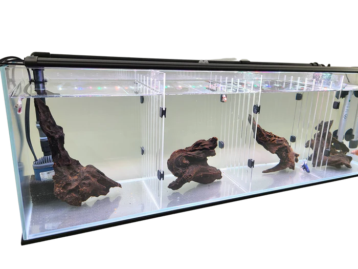 Lifegard Acrylic Divider Plate for Bookshelf Aquariums