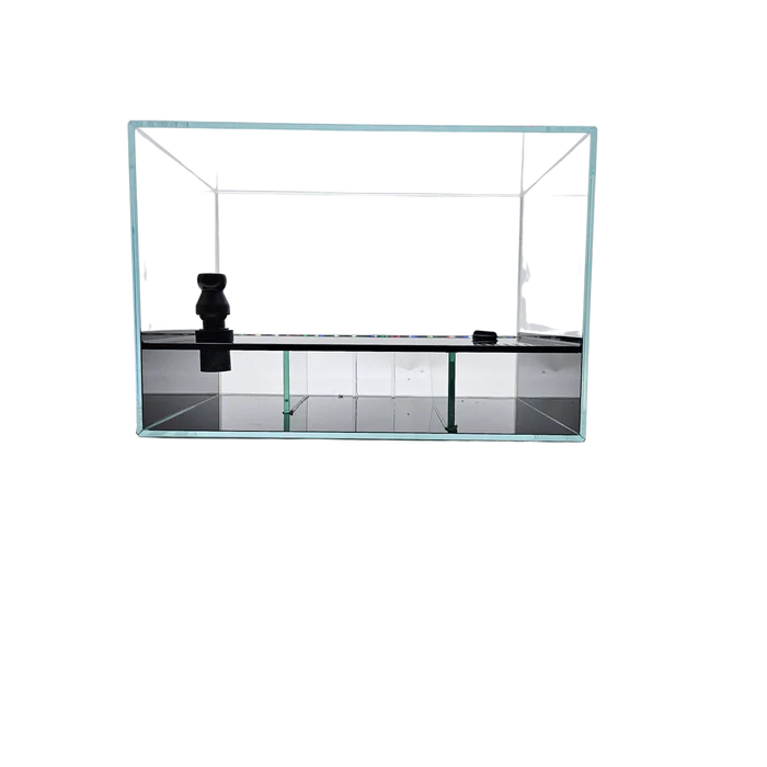 Lifegard 4 Gallon CRYSTAL Beveled Edge Low Iron Aquarium with Built in Back Filter 5mm - Kit