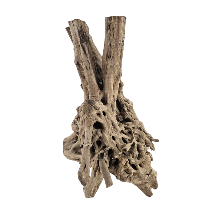 Lifegard Aquatics Spiderwood Tree Stump