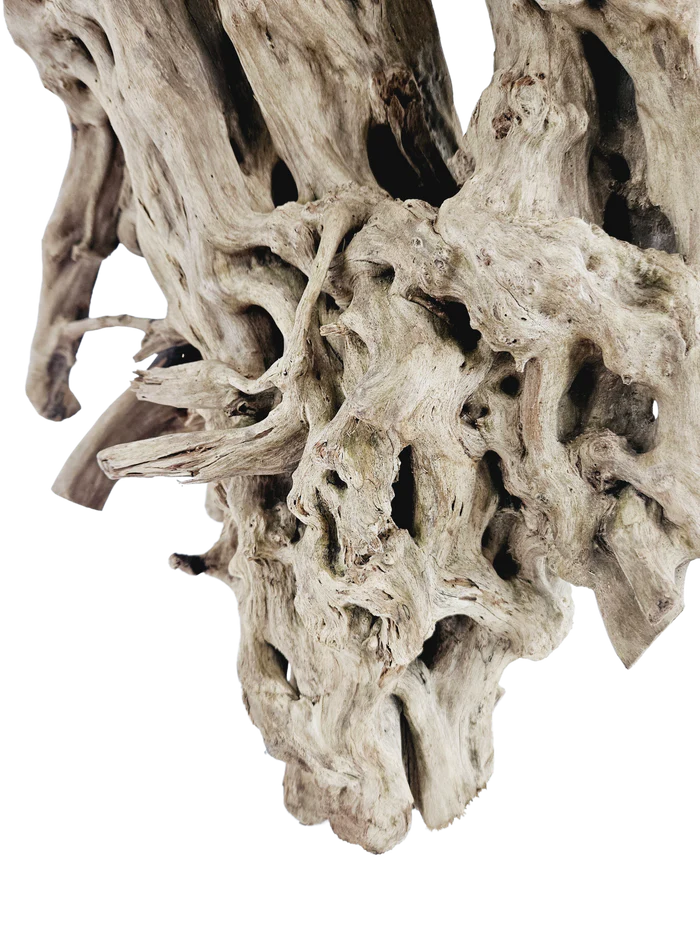 Lifegard Aquatics Spiderwood Tree Stump