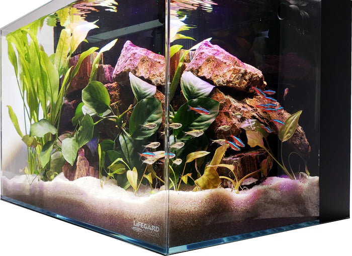 Lifegard CRYSTAL 4.4/10/24 Gallon 45 Degree Beveled Edge Low Iron Ultra Clear Aquarium with Built in Back Filter