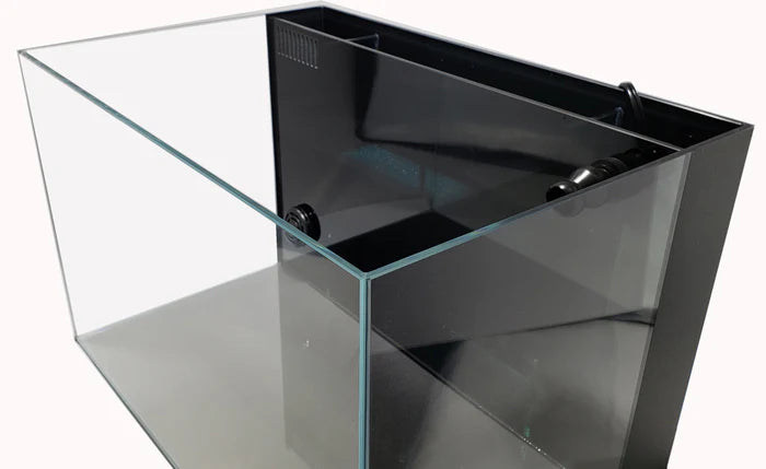 Lifegard 10 Gallon CRYSTAL Beveled Edge Low Iron Aquarium with Built in Back Filter 5mm - Kit