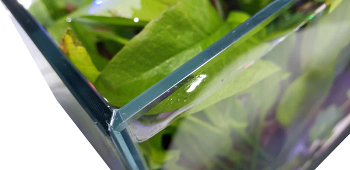 Lifegard CRYSTAL 40 Gallon Rimless Low Iron Ultra Clear Aquarium 8mm (29.53" x 17.72" x 17.72")