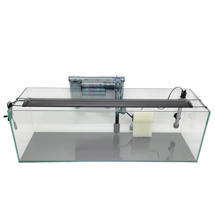 Lifegard 22 Gallon CRYSTAL Beveled Edge Low Iron Bookshelf Aquarium 8mm - Kit