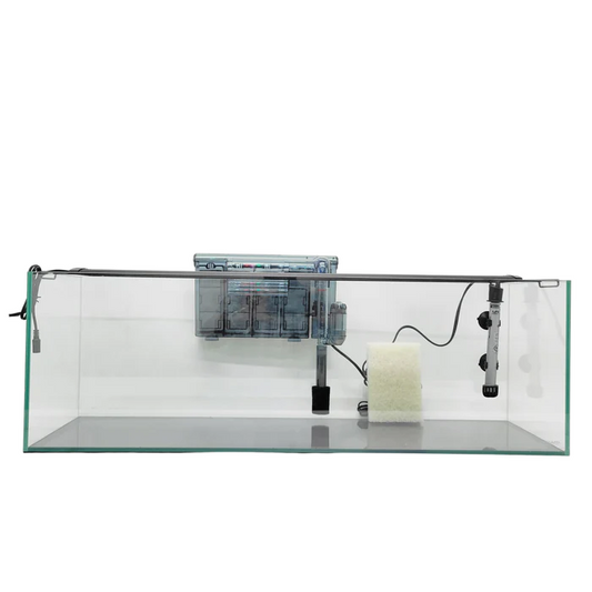 Lifegard 22 Gallon CRYSTAL Beveled Edge Low Iron Bookshelf Aquarium 8mm - Kit
