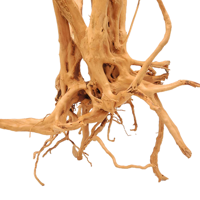 Lifegard Aquatics Spiderwood Tree Stump