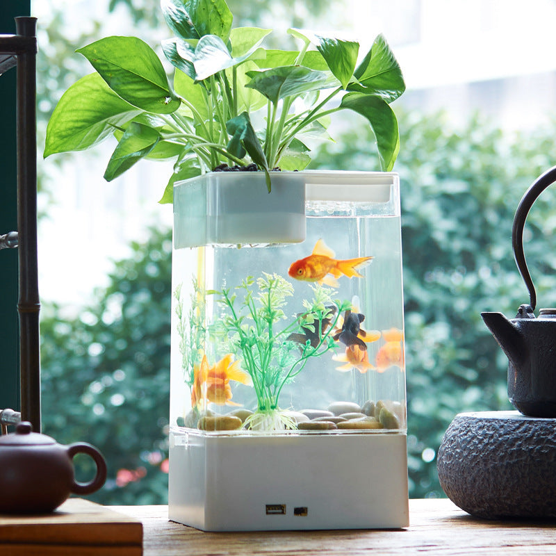 Desktop Acrylic Transparent Fish Tank Aquarium