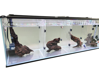 Lifegard Acrylic Divider Plate for Bookshelf Aquariums