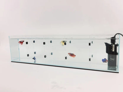 Lifegard Acrylic Divider Plate for Bookshelf Aquariums