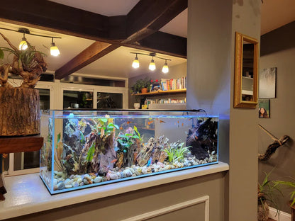 Lifegard 22 Gallon Clear Glass Bookshelf Aquarium 8mm - Kit