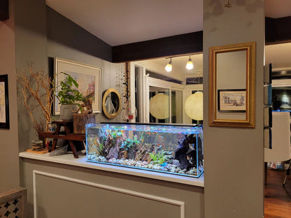 Lifegard CRYSTAL 16 Gallon Long 45 Degree Beveled Edge Low Iron Ultra Clear Bookshelf Aquarium 6mm (33.85" x 9.84" x 11")
