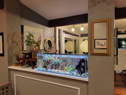 Lifegard 16 Gallon CRYSTAL Beveled Edge Low Iron Bookshelf Aquarium 6mm - Kit