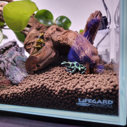 Lifegard 16 Gallon CRYSTAL Beveled Edge Low Iron Bookshelf Aquarium 6mm - Kit