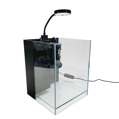 Lifegard 1.2/2.65 Gallon Betta 45° Degree Low Iron Ultra Clear Aquarium