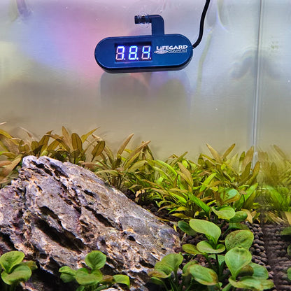 Lifgard LED Digital Thermometer