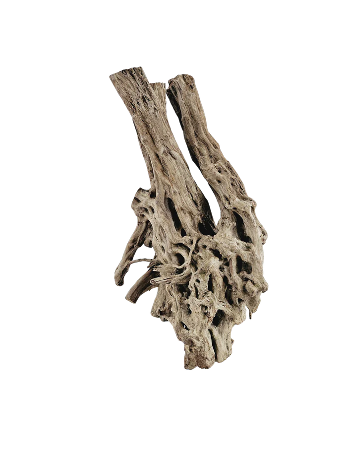 Lifegard Aquatics Spiderwood Tree Stump