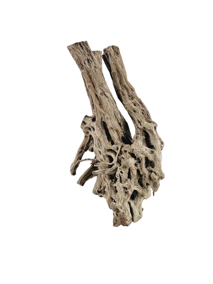 Lifegard Aquatics Spiderwood Tree Stump