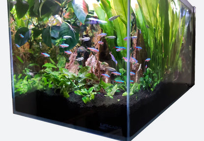 Lifegard 3.8 Gallon CRYSTAL Penensula Beveled Edge Low Iron Aquarium with Built in Side Filter 5mm - Kit