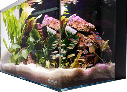 Lifegard CRYSTAL 4.4/10/24 Gallon 45 Degree Beveled Edge Low Iron Ultra Clear Aquarium with Built in Back Filter