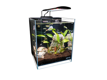 Lifegard Elevated 8.3/5 Gallon 45° Degree Low Iron Ultra Clear Aquarium
