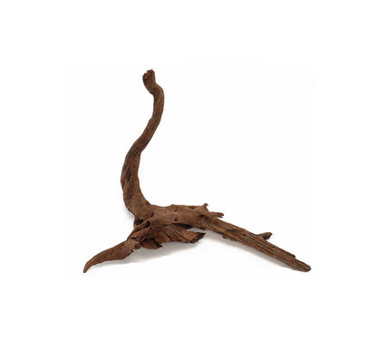 Lifegard Aquatics Malaysian Aquascaping Drift Wood