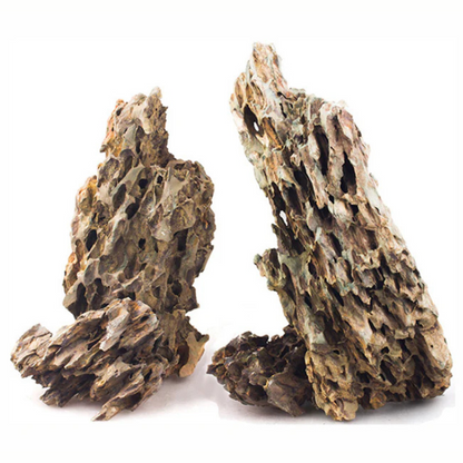 Lifegard Dragon Ohko Aquascaping Rock 44 Lbs. Case