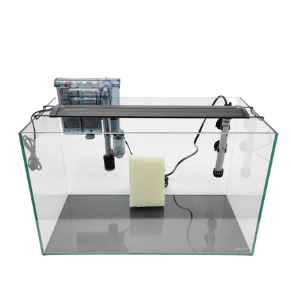 Lifegard 10 Gallon Clear Glass Rimless Aquarium 5mm - Kit