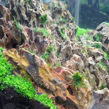 Lifegard Dragon Ohko Rock 15/25 Lbs. Mix Size Rock Kit