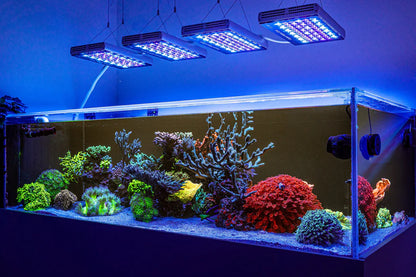Orphek Natura iCon - Reef Aquarium LED Lighting