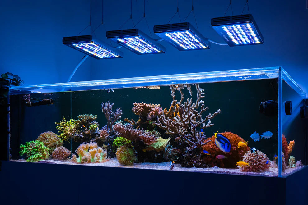 Orphek Natura iCon - Reef Aquarium LED Lighting