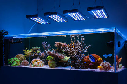 Orphek Natura iCon - Reef Aquarium LED Lighting